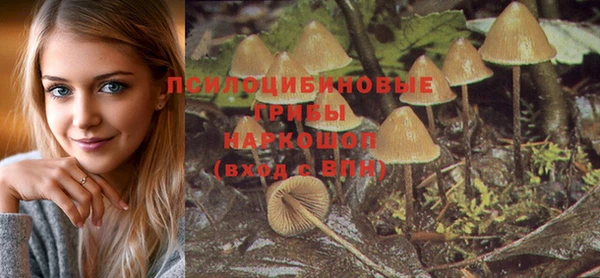винт Богданович
